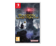 Gra na Switch Switch Shadow Labyrinth